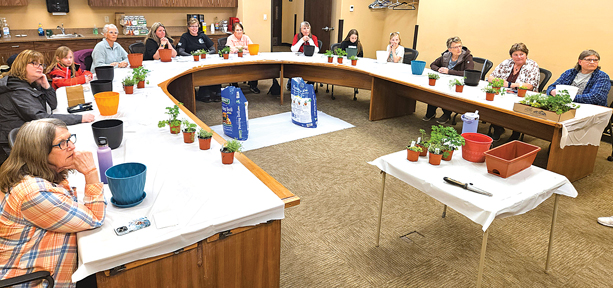 Home And Garden Show Returns