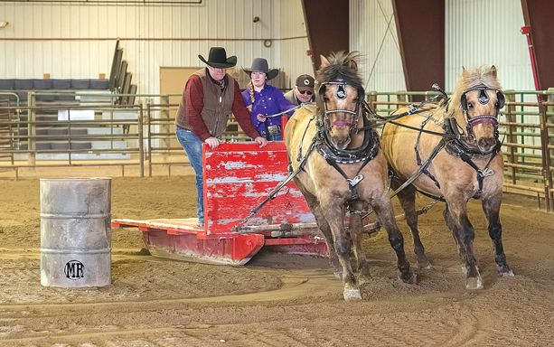 Winter Blues Returns