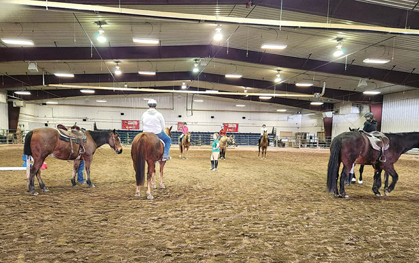 Youth Riders Build Skills And Confidence At English Riding Clinic