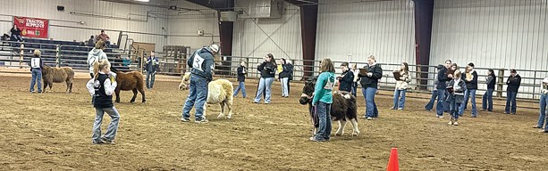 Mountrail County Horse Judging Contest Held