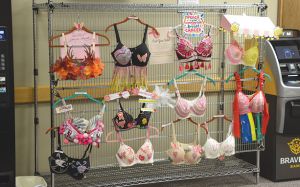 Bras For A Cause