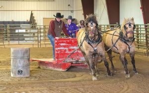 Winter Blues Returns