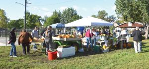 Harvest Fest Returns On Saturday