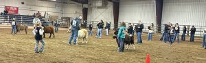 Mountrail County Horse Judging Contest Held