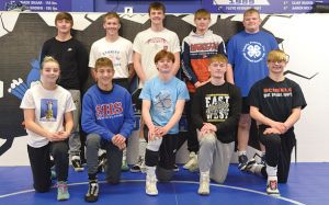 Blue Jays Qualify Ten For State