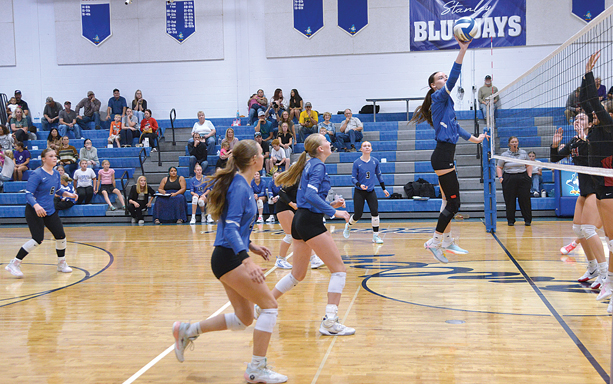 Volleyball Team Posts Wins Over Nedrose, Bottineau