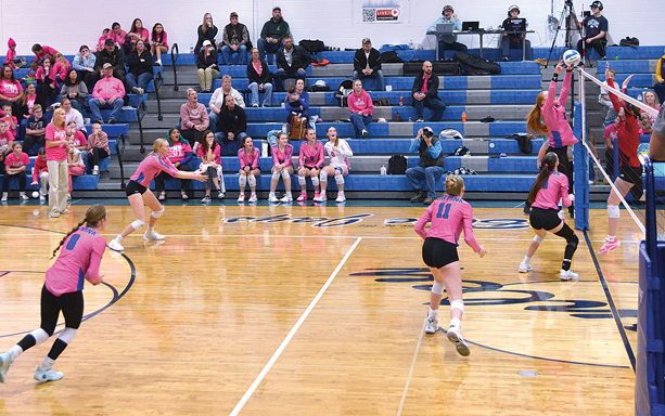 Blue Jay Volleyball Team Splits Matches