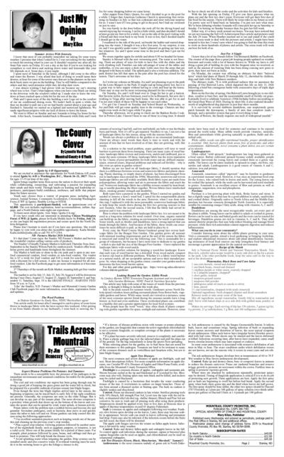 Issue content page 