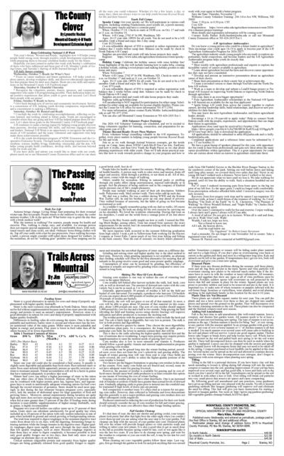 Issue content page 